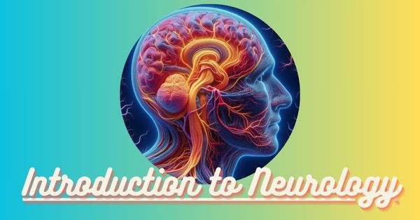 Introduction to Neurology