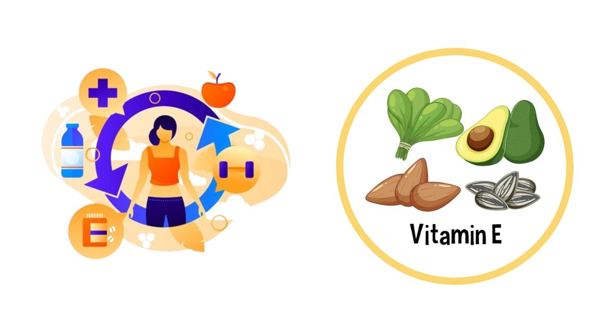 Vitamin E Source Of Health