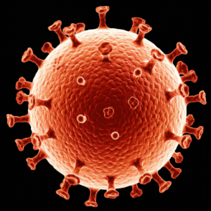 Read more about the article Monkeypox: Why It’s a Global Health Emergency?