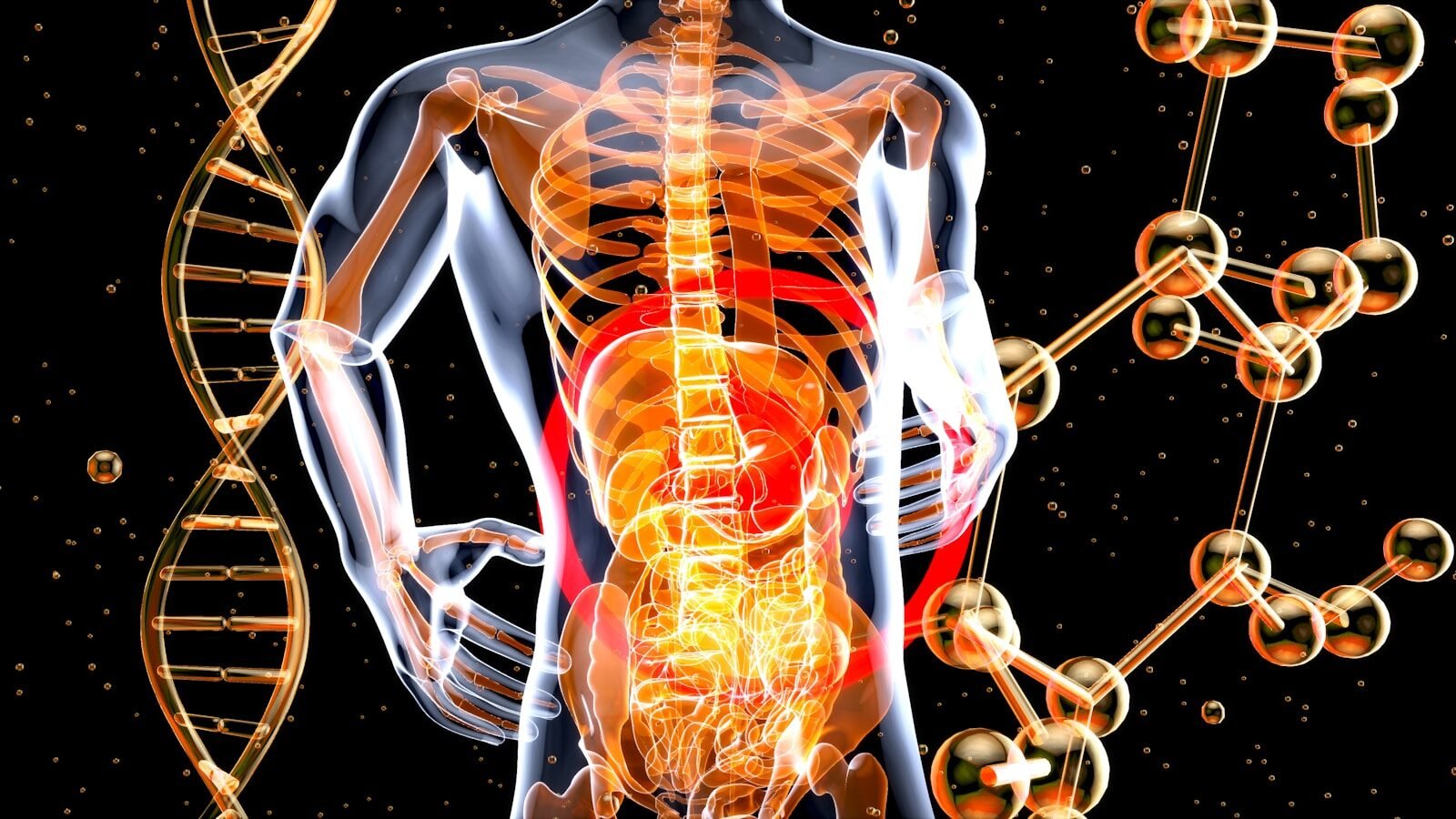 ENDOCRINOLOGY