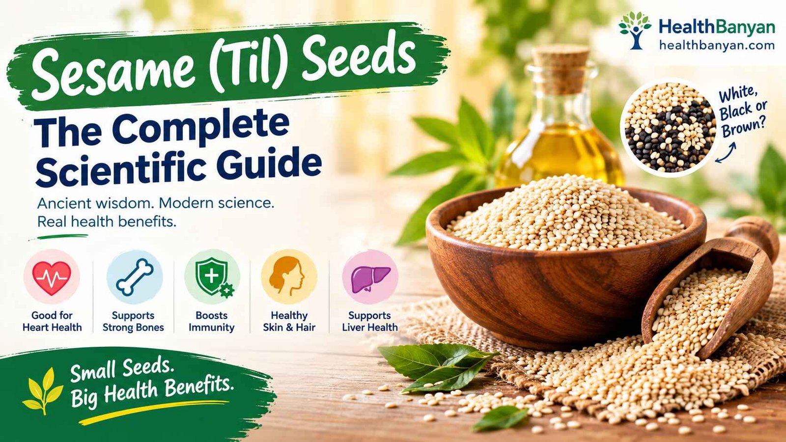 You are currently viewing Part 1- Sesame (Til) Seeds: The Complete Scientific Guide